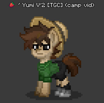 Yumi V'2 (Group Camping Video)